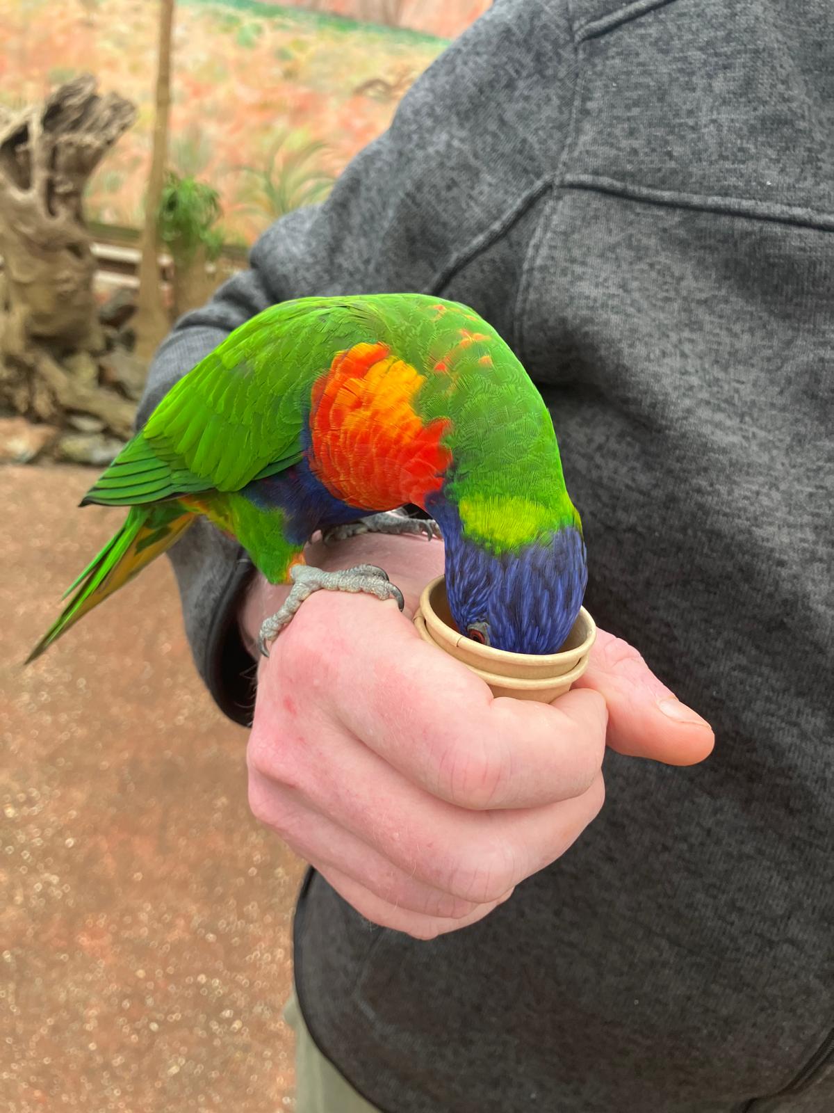 Foto 75 bij artikel "Uitje naar de Orchideenhoeve in Luttelgeest".